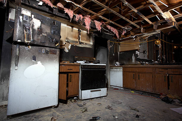 Affordable Fire Damage Removal solutions in Davidsonville, MD